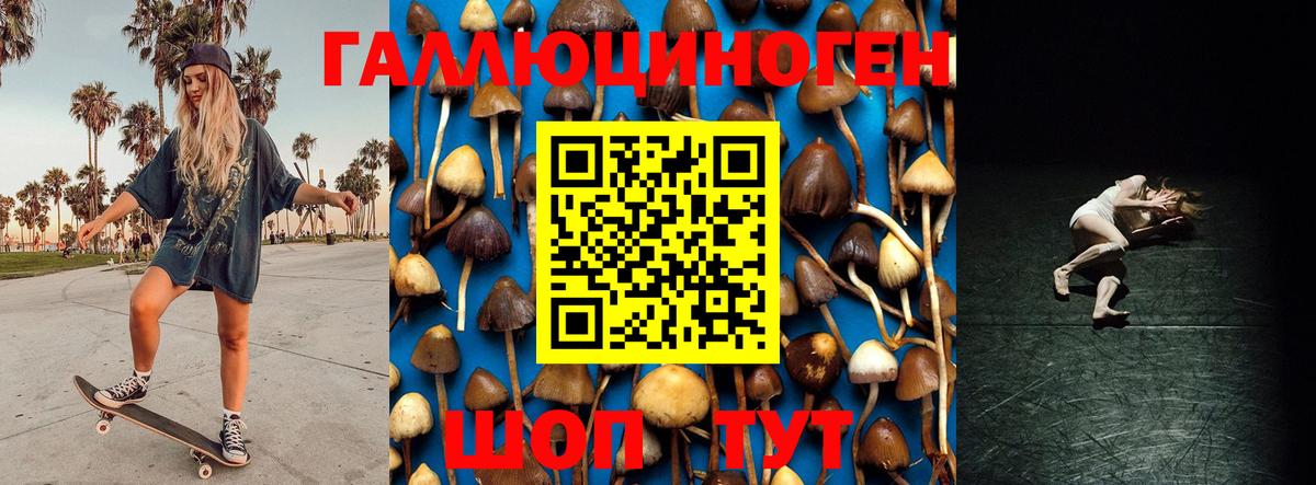 Рассказово  Галлюциногенные грибы Cubensis  Вход с VPN 